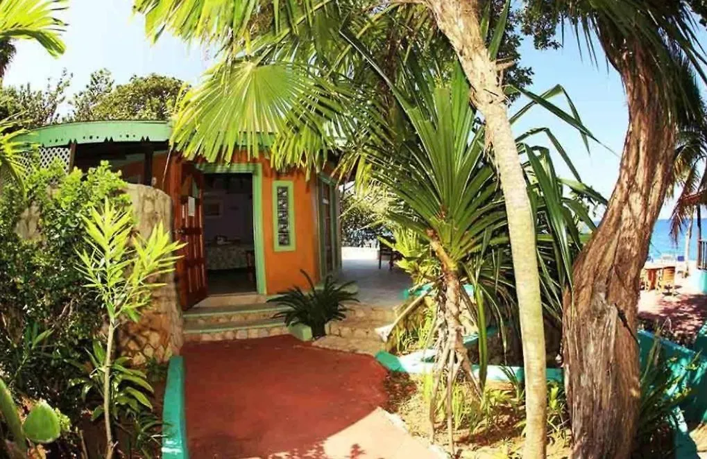 Clifftop Haven - Oceanfront Stay With Pool Camp Dining Negril Apartment