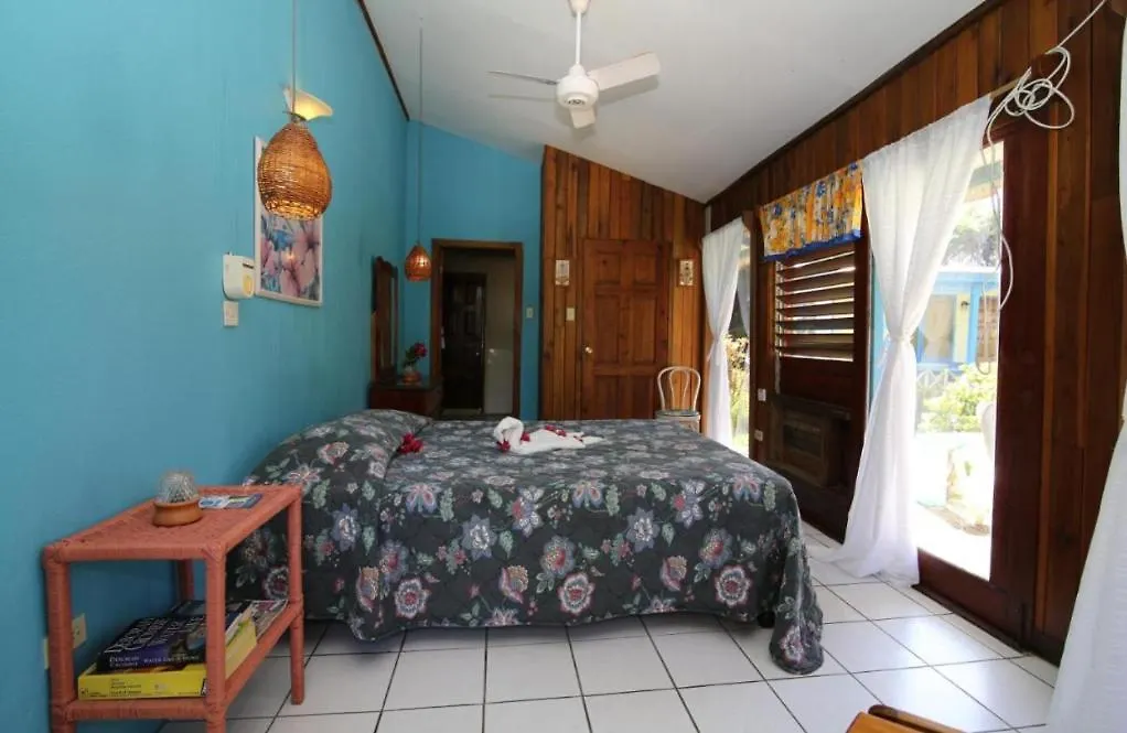 Clifftop Haven - Oceanfront Stay With Pool Camp Dining Negril